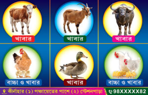 Bird Cow Goat Hen Fish Feed Shop Banner Design PSD 79x51 Inch_1711 - PMC